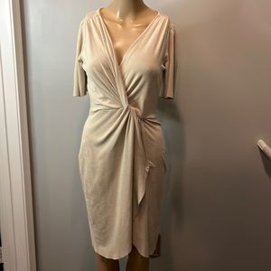 Zara Faux Suede Dress